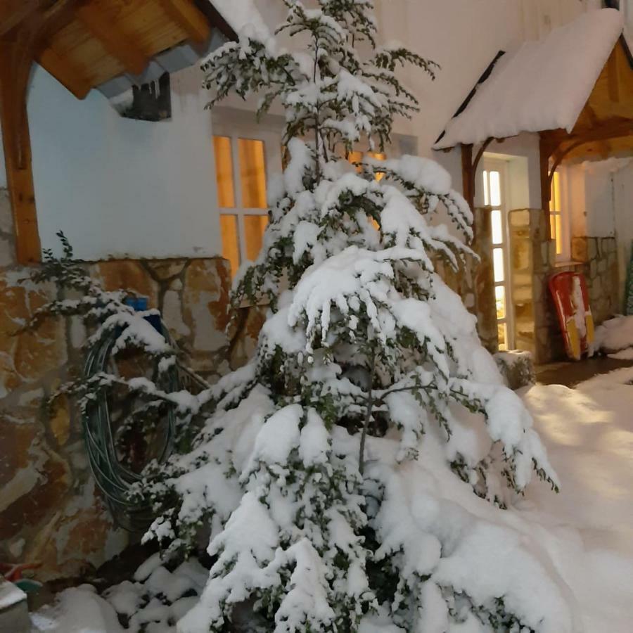 Departamentos Del Bosque Daire Ushuaia Dış mekan fotoğraf